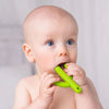 Cactus Silicone Teething Toothbrush - Shop Online | pollywiggles.co.za