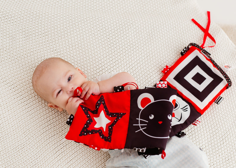 High Contrast Double sided Accordion Baby Book