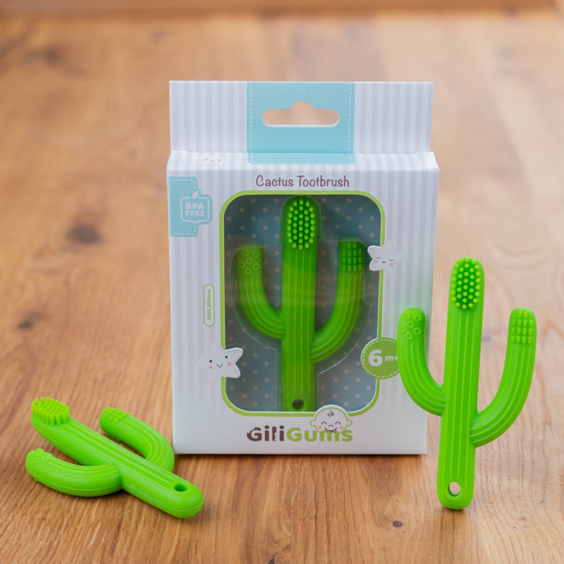 Cactus Silicone Teething Toothbrush box - Shop Online | pollywiggles.co.za