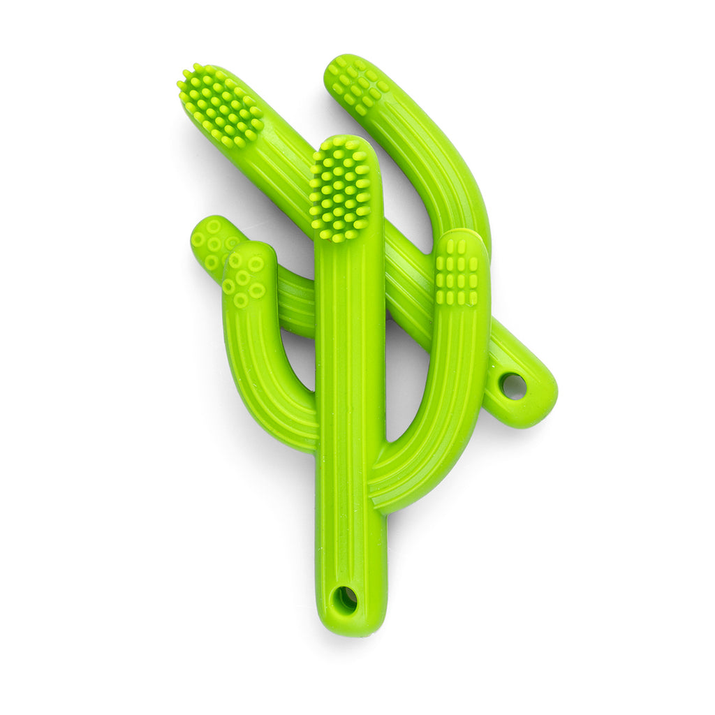Cactus Silicone Teething Toothbrush product view - Shop Online | pollywiggles.co.za